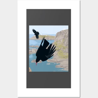 Chough at South Stack Posters and Art